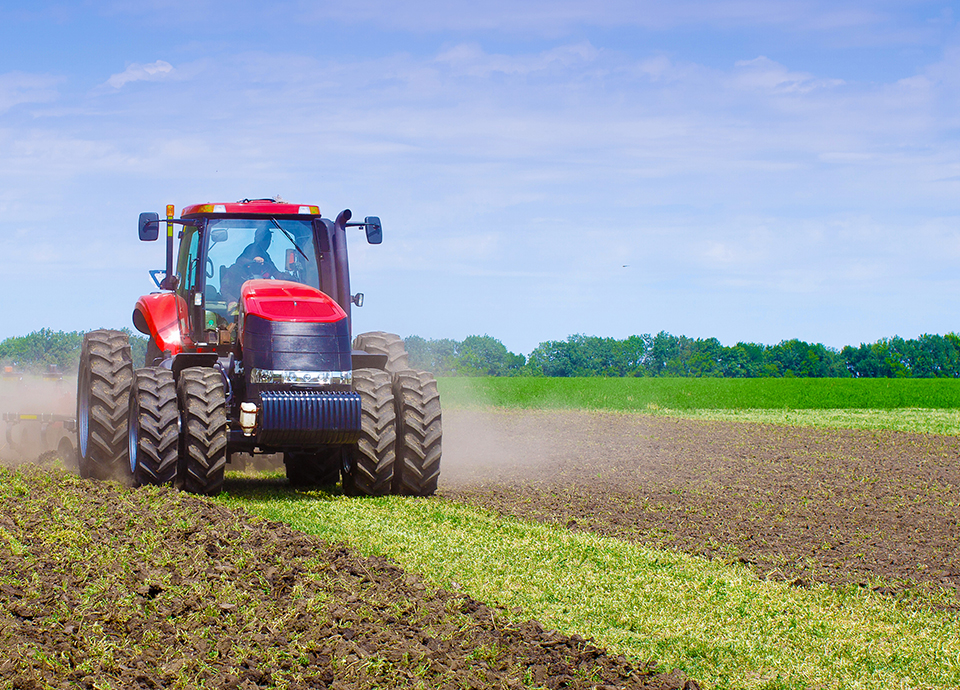 Agriculture [690 wide].jpg