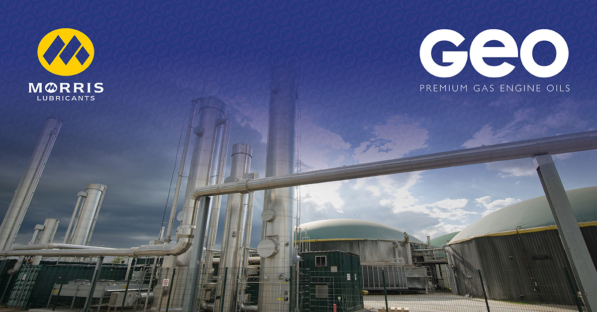 Morris GEO Linked In Graphic - 240320.jpg